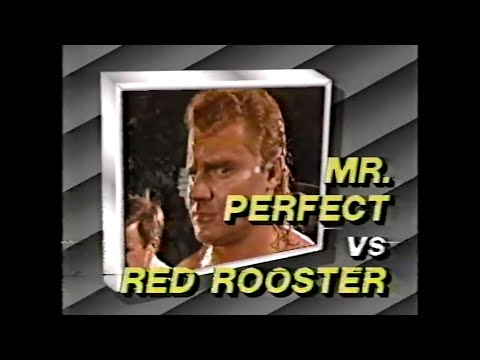 Red Rooster vs Mr Perfect   SuperStars Feb 25th, 1989