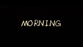 Download the video "Morning"