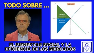 Miniatura de BIENESTAR SOCIAL Y EFICIENCIA DE LOS MERCADOS