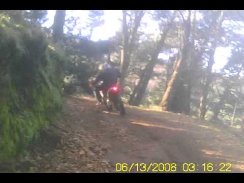 sottobosco vivaio zirio.AVI