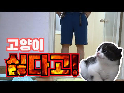 아이콘