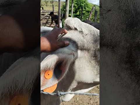 Itambacuri Minas gerais só agradecer a Deus por mais uma oportunidade gratidão sempre 💕💕💕