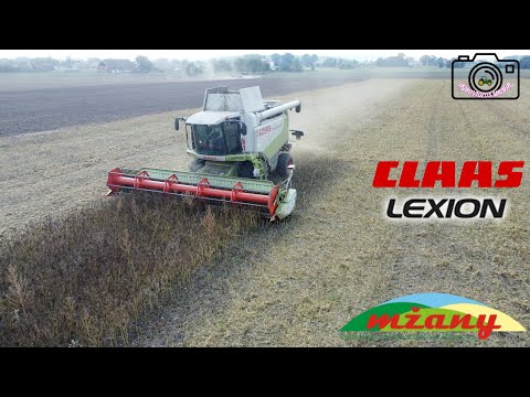Sklizeň Lupiny 2022 Claas Lexion 570