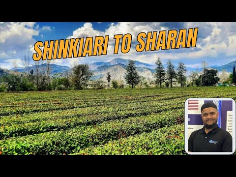 Shinkiari to Sharan |Bike Trip | Part 2| Experince with Sherdil | Vlog 49
