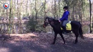 Toegang tot bos van Beetsterzwaag misschien niet meer gratis