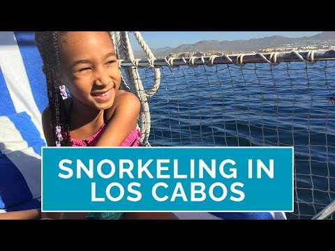 Snorkeling in Cabo: A Must-Do for the Whole Family