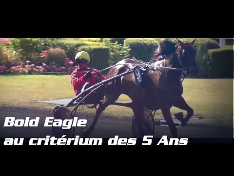 Bold Eagle au Criterium des 5 ans - TEASER