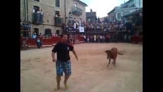 preview picture of video 'Jony corriendo delante de la vaquilla - Aldeadavila de la Ribera 2012'