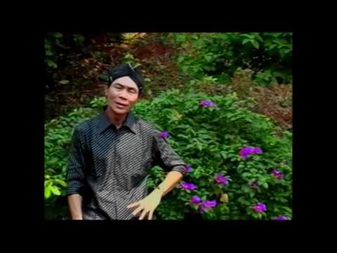 Yadi S : Dino Riyoyo