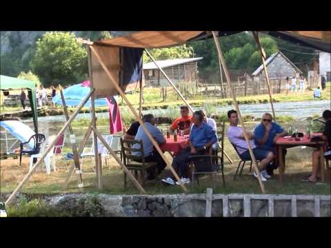 ALIPASINI IZVORI 2015 DIO 1 DANI DIJASPORE