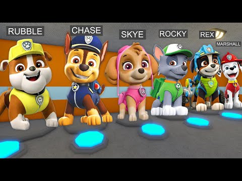 ALL PAW PATROL MORPHS! RUBBLE, CHASE, SKYE... in BARRY'S PRISON RUN!