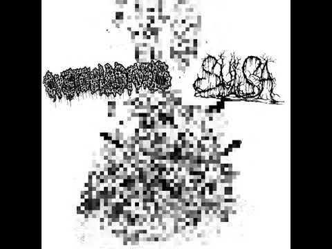 Cystoblastosis/Sulsa - Full Split (2018 - Goregrind)