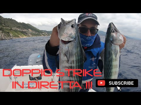 Doppio strike a traina con il vivo in DIRETTA !!!