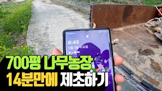 700평 나무농장 14분만에 제초하기 | 나무대장