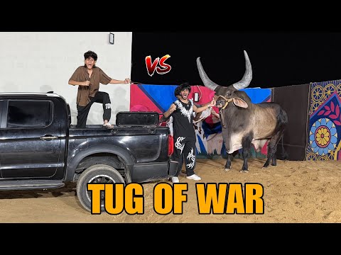 ANGRY CHAND BAIL VS MY CAR TUG OF WAR!