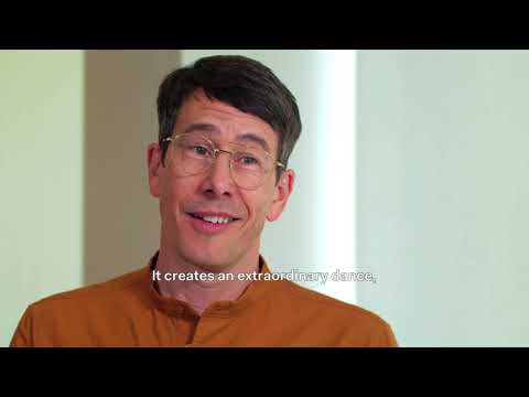 NEW SETTINGS #9 | Merce Cunningham, "RainForest"