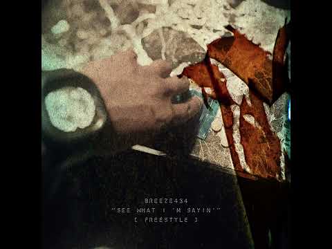 See What I'm Sayin' (Freestyle)