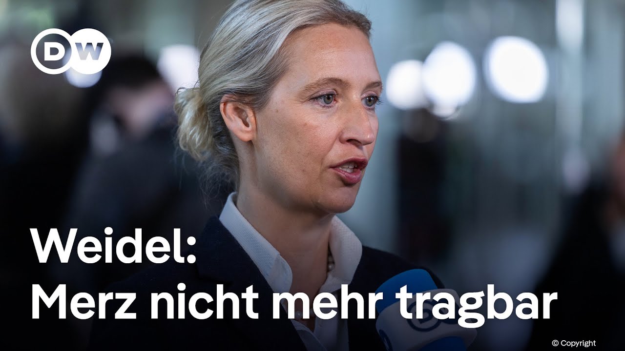 Nach Merz-Misserfolg: AfD-Chefin Weidel im Interview | DW Nachrichten