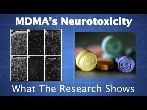 MDMA's Neurotoxicity: What the Research Shows & How to Reduce Your Risk