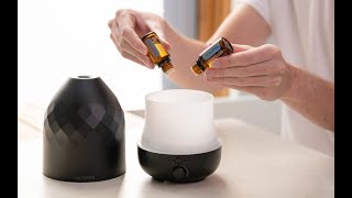 Best essential oils for odor elimination in your home