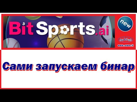 Bit Sports - Сами запускаем бинар, 2023-04-29