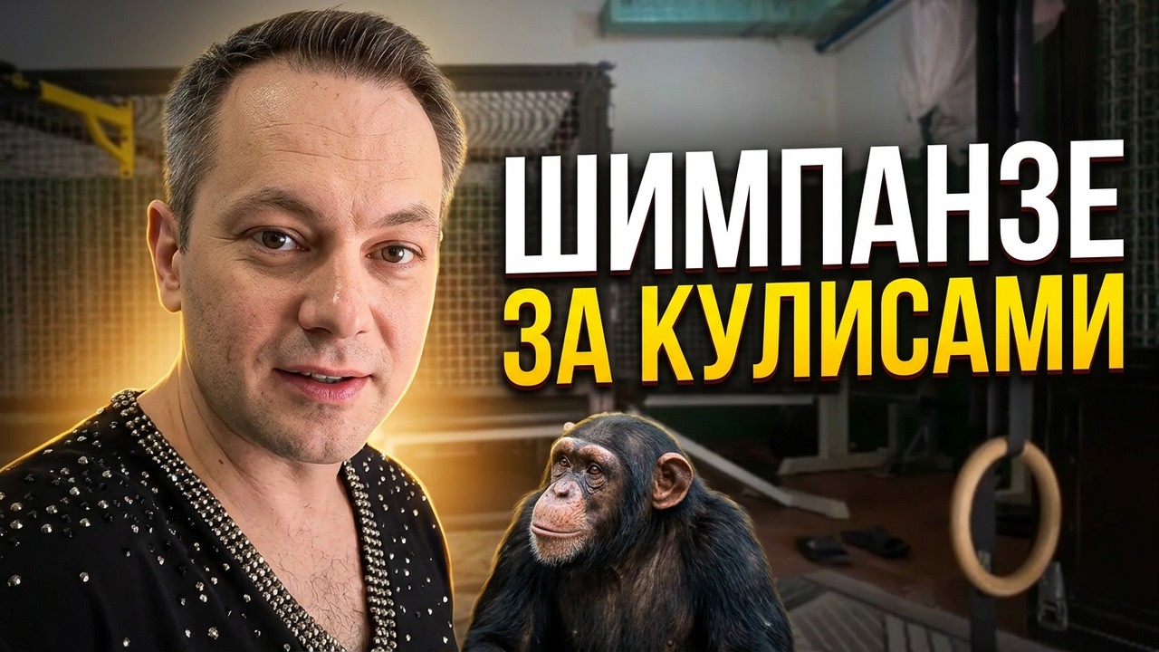Как Живёт Шимпанзе Боня в Цирке Душанбе? Смотри Сам!