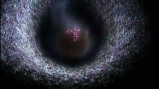 NOVA scienceNOW : 50 - Moon Smasher, Secrets in the Salt, Bird Brains, Profile: Lonnie Thompson