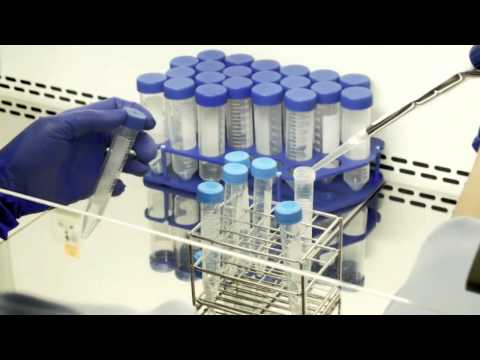 Regenerateus  Treatments