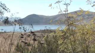 Real Time Rainfall and Reservoir Data
