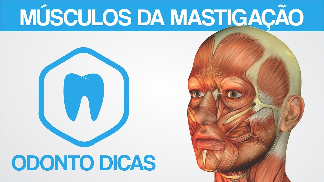 MÚSCULOS DA MASTIGAÇÃO: ORIGEM & INSERÇÃO | ODONTO DICAS