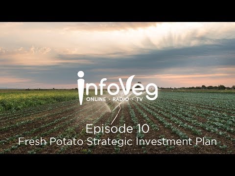 InfoVeg TV Episode 10 | Fresh Potato Strategic Investment Plan