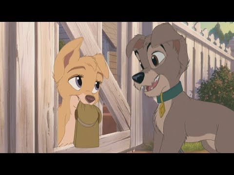 download lagu mp3 mp4 Lady And The Tramp 2 Angel, download lagu Lady And The Tramp 2 Angel gratis, unduh video klip Lady And The Tramp 2 Angel