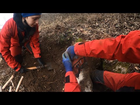 YouTube - Avenul Broasca lui Daian