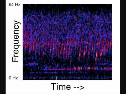 Unidentified Deep Sea Sounds - UpSweep (16X)