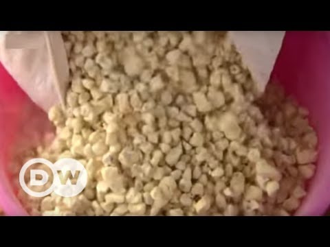 Baobab - the zero-waste superfood | DW English