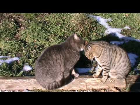 Sant'Olcese - Alta Val Polcevera