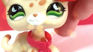 {LPS} party in the Usa (music video)