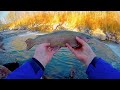 Stalking Trout in ULTRA CLEAR water on a INDIAN Reservation