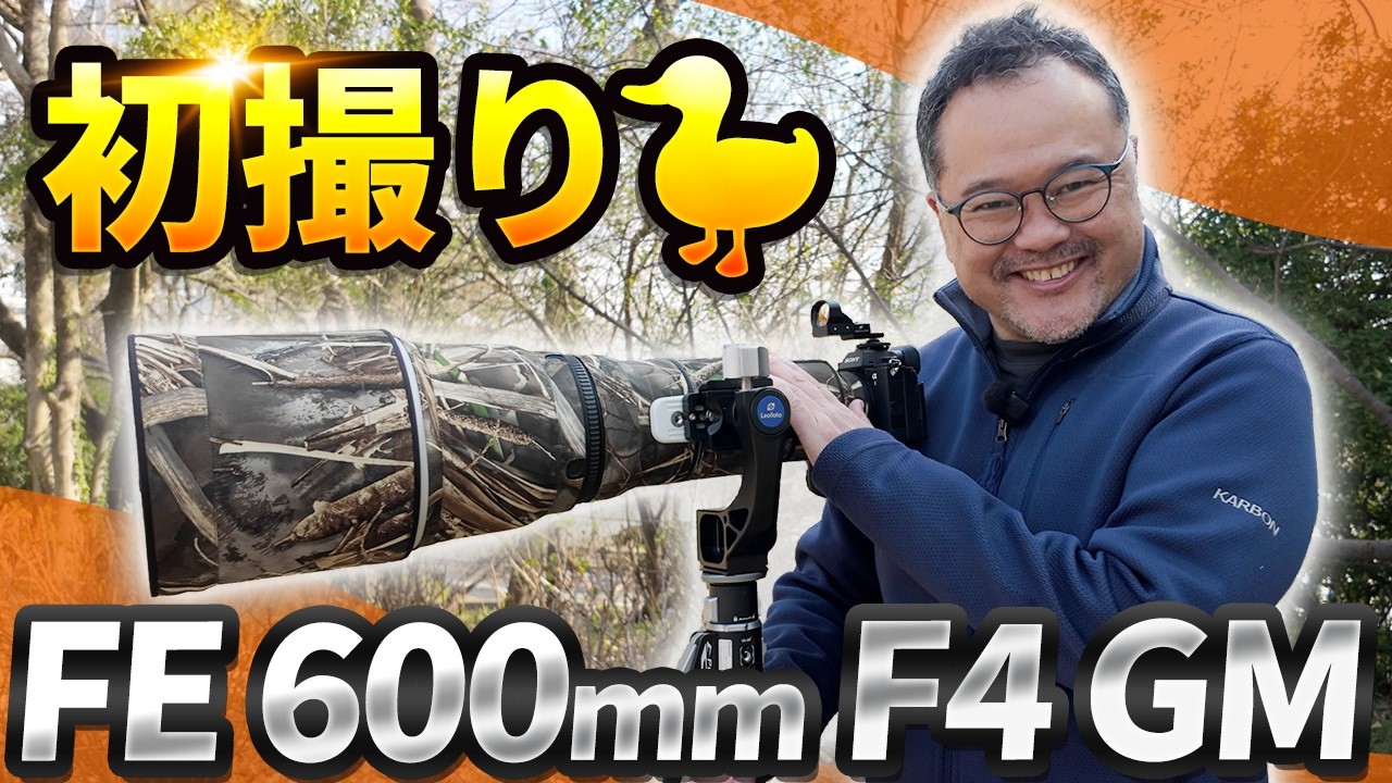 機材は重いけど、心は軽かった。ロクヨン初撮影【Sony FE 600mm F4 GM OSS】
