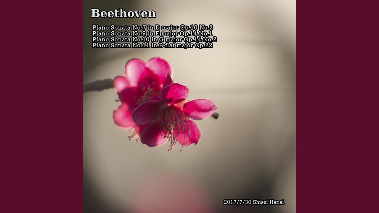 Beethoven Piano Sonata No. 11 in B-Flat Major, Op. 22: IV. Rondo. Allegretto