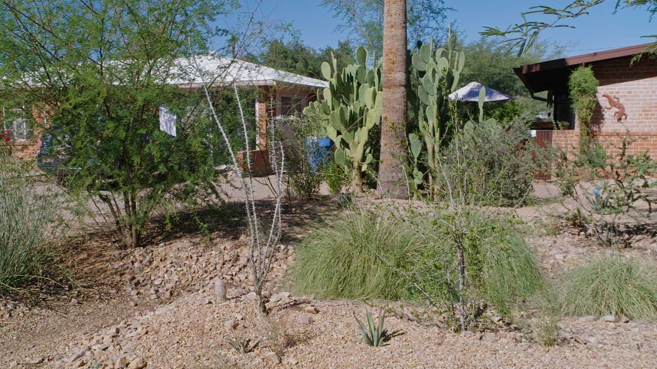 Desert Living Home Tour