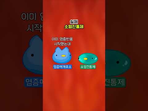 상상 속 소염진통제 vs 실제 소염진통제