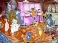 CAT ANDERSON.wmv