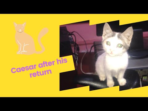 Caesar after his return