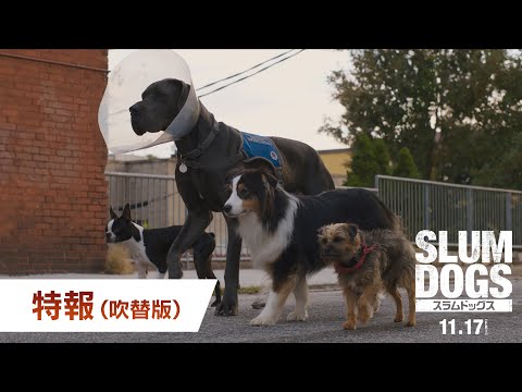 特報（吹替版）