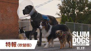 特報(吹替版)