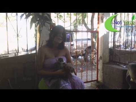 NOTI VERDE PRESENTA: PAQUITA Y SUS CACHORRITAS