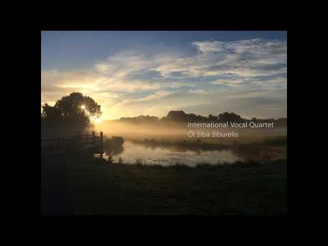International Vocal Quartet - Oi žiba žiburėlis