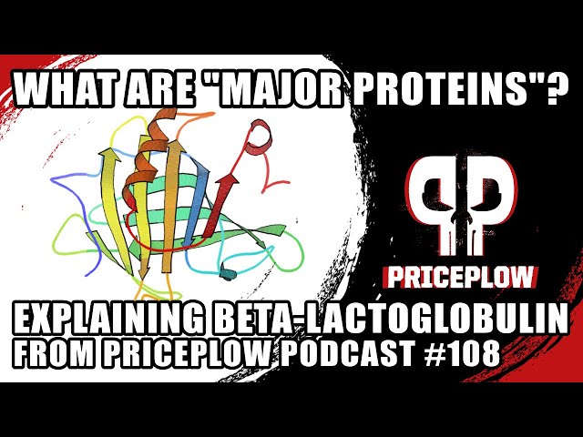 What are "Major Proteins" in Milk like Beta-Lactoglobulin?