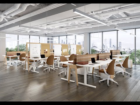 CityLine — סרטון 1